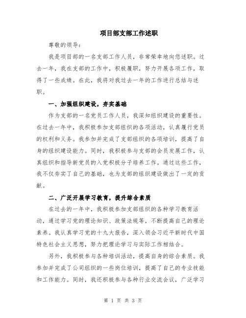 项目部支部工作述职