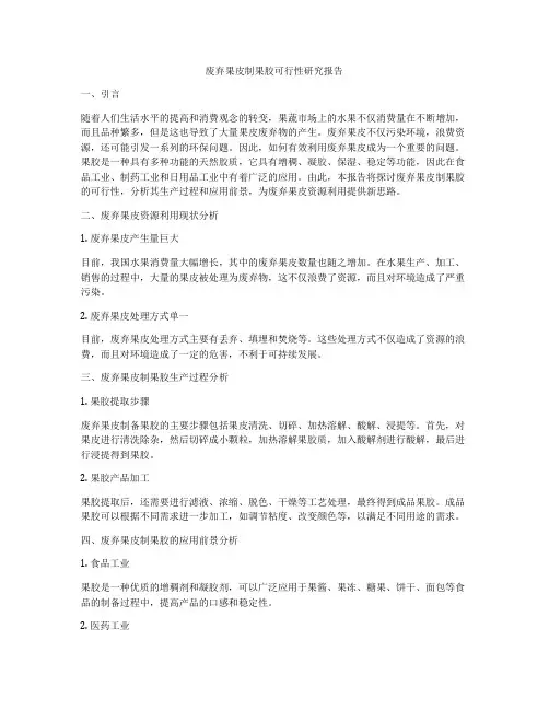 废弃果皮制果胶可行性研究报告