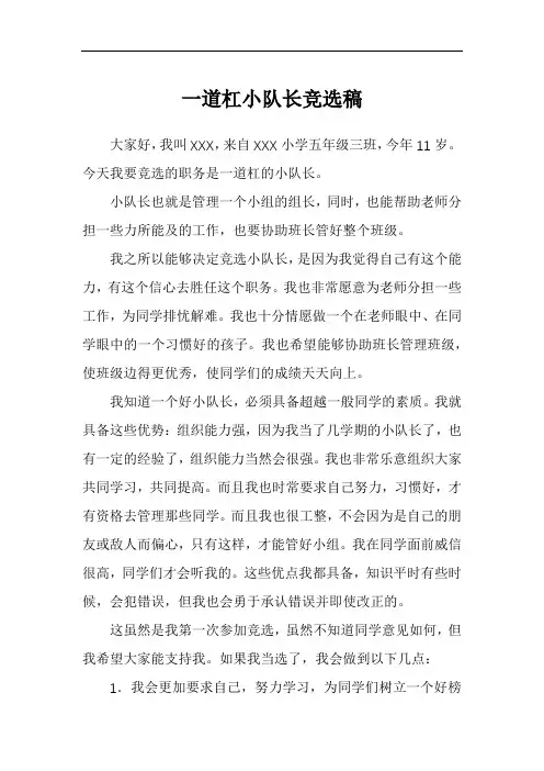一道杠小队长竞选稿