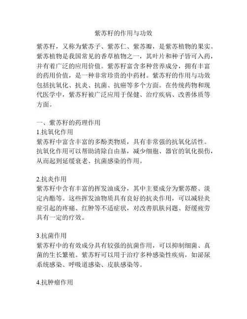 紫苏籽的作用与功效
