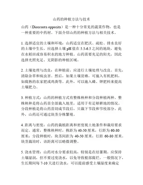 山药的种植方法与技术