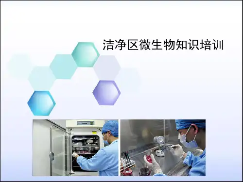 洁净区微生物基础知识培训