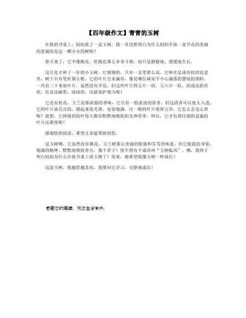 【四年级作文】青青的玉树