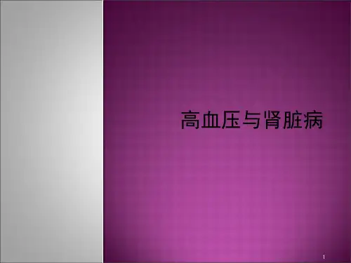 高血压与肾脏病ppt课件