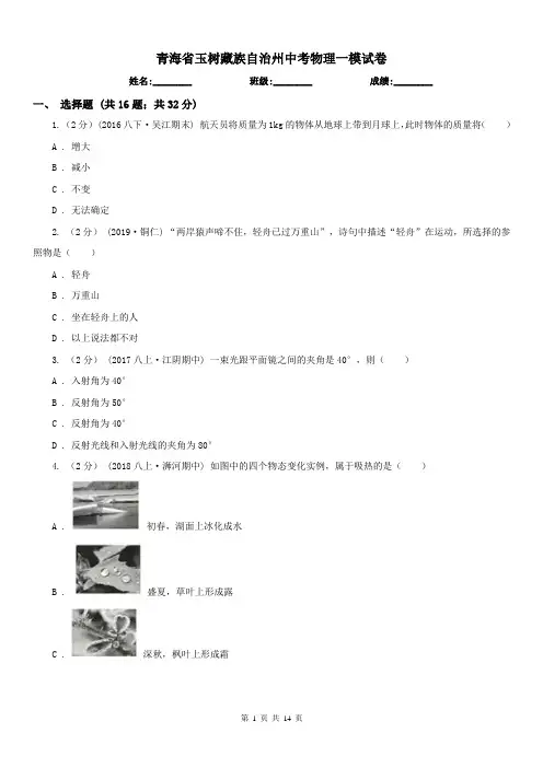 青海省玉树藏族自治州中考物理一模试卷
