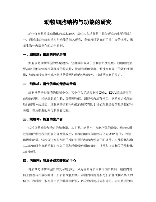 动物细胞结构与功能的研究
