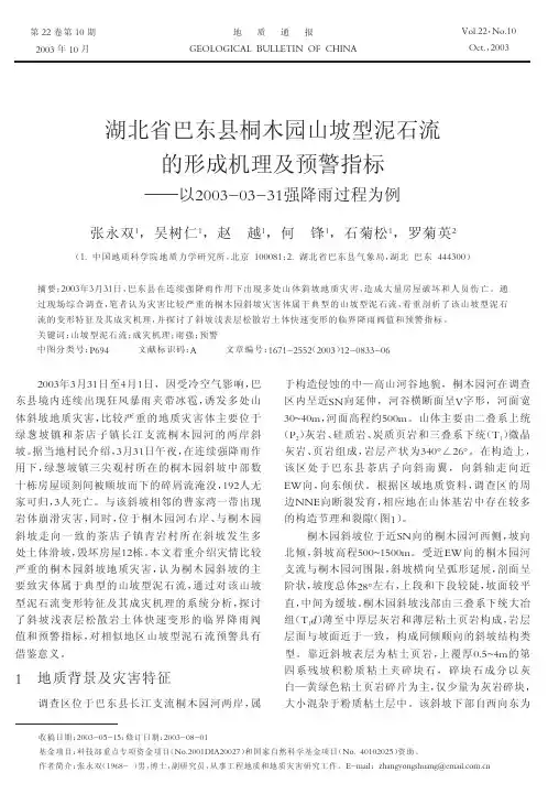 湖北省巴东县桐木园山坡型泥石流的形成机理及预警指标