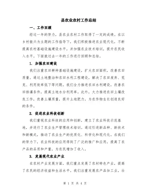县农业农村工作总结