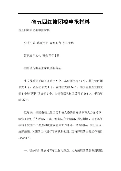 省五四红旗团委申报材料