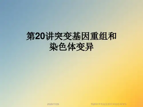 第20讲突变基因重组和染色体变异