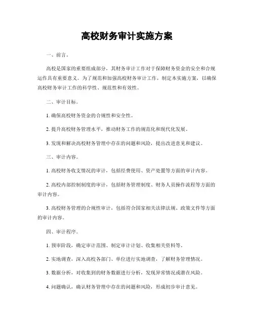 高校财务审计实施方案
