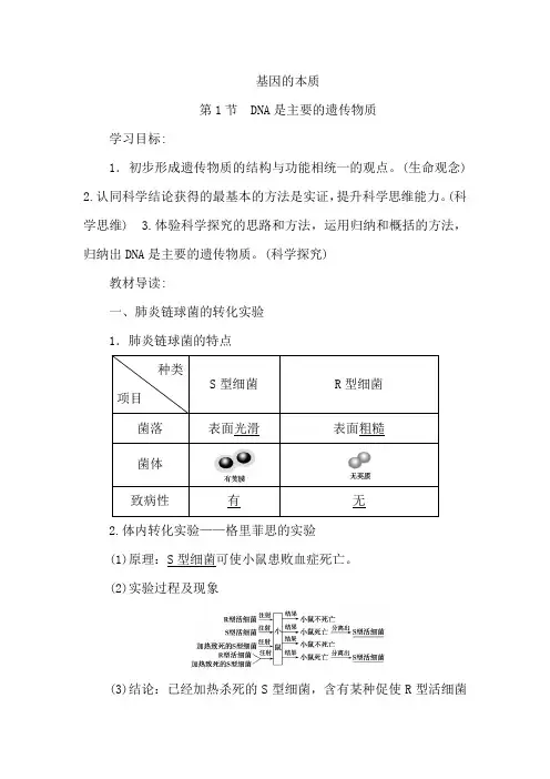 统编人教版高中必修二《第1节 DNA是主要的遗传物质》