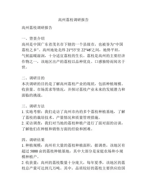 高州荔枝调研报告