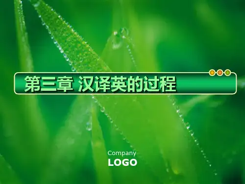 《汉译英的过程》PPT课件