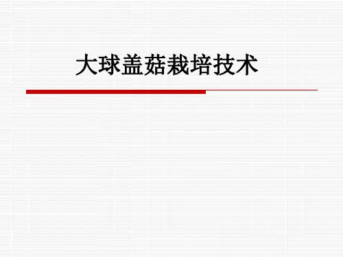 大球盖菇栽培技术