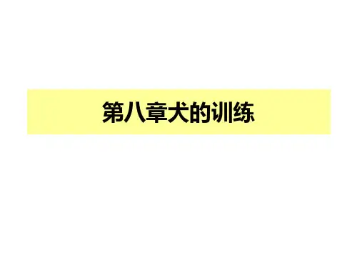 犬的训练