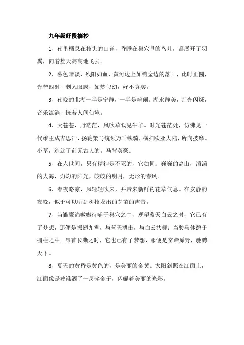 九年级好段摘抄