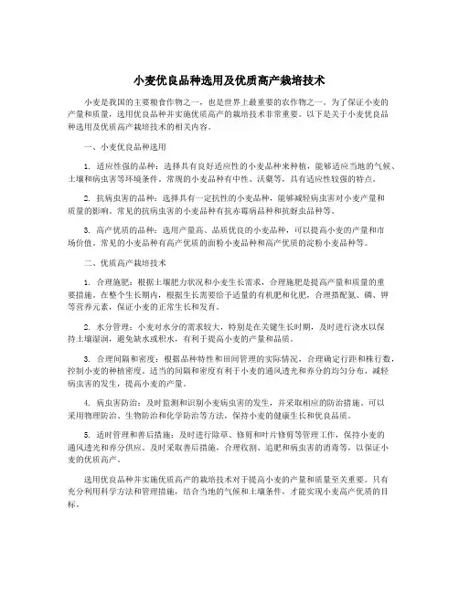 小麦优良品种选用及优质高产栽培技术