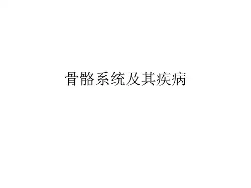 骨骼系统及其疾病 PPT课件