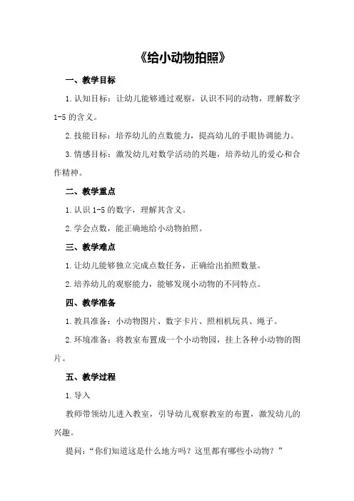 幼儿园小班数学教案优质课模板《给小动物拍照》