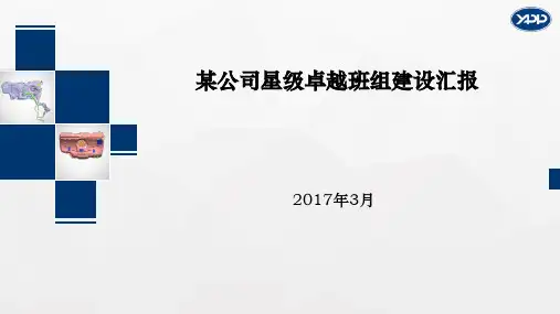 某公司星级卓越班组建设汇报