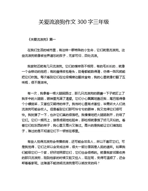 关爱流浪狗作文300字三年级