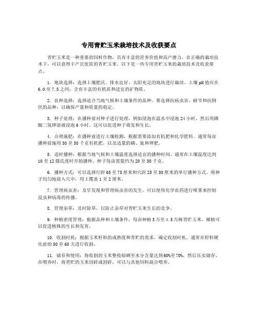 专用青贮玉米栽培技术及收获要点