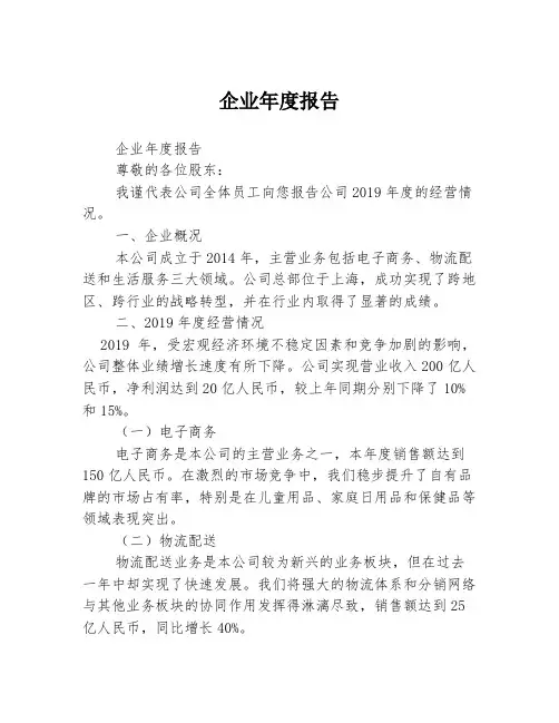 企业年度报告