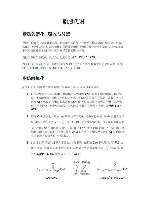 生物化学复习笔记-脂质代谢