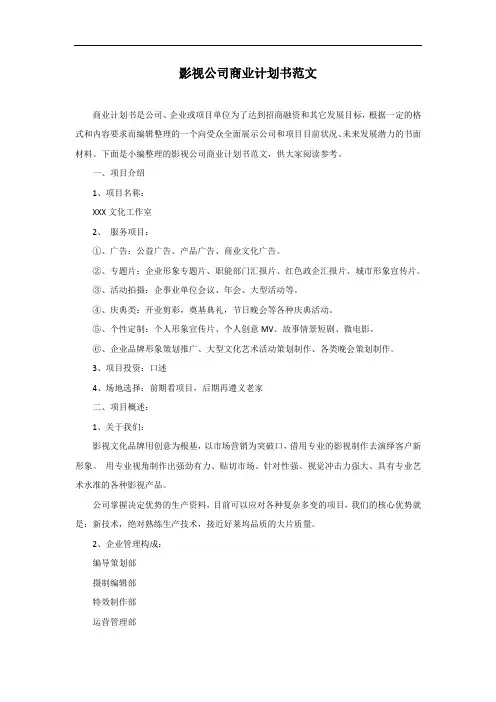 影视公司商业计划书模板