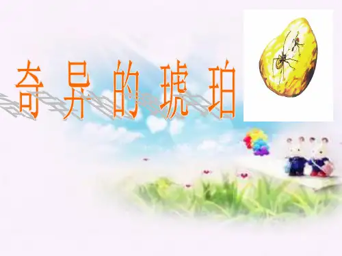 S版小学语文第十一册课件第21课《奇异的琥珀教学PPT》