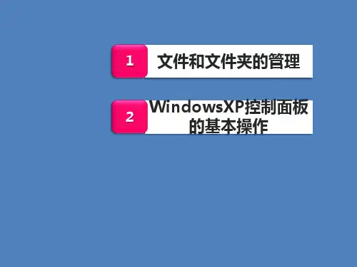 计算机应用基础实训第二章中文操作系统WindowsXP课件