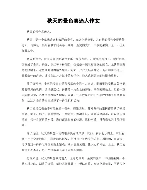 秋天的景色真迷人作文