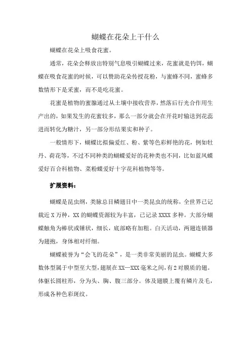 蝴蝶在花朵上干什么