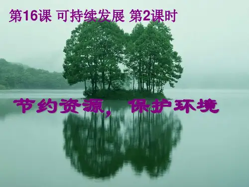 节约资源,保护环境PPT课件