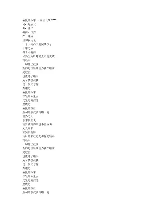 南征北战  - 骄傲的少年