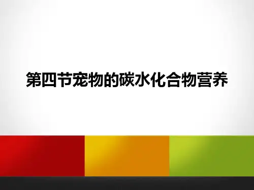 1.2宠物的能量来源与转化