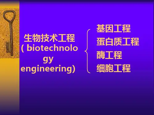 超好研究生分子生物学课件-第六章基因工程.ppt