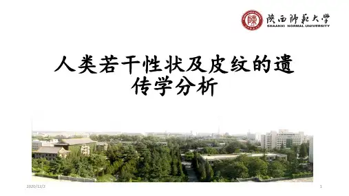 人类若干体表性状的遗传学分析及皮纹的遗传分析 ppt课件