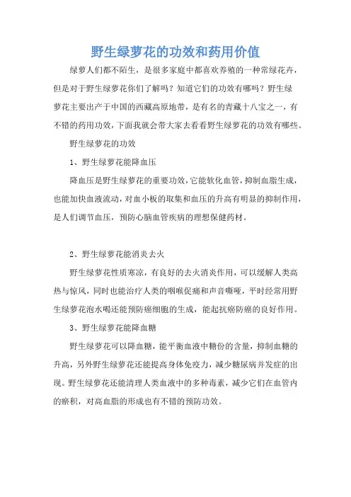 野生绿萝花的功效和药用价值