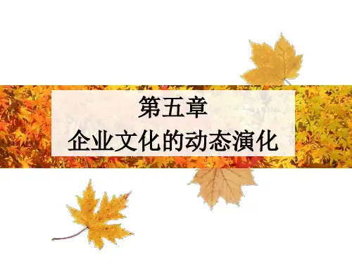 第五章企业文化的动态演化