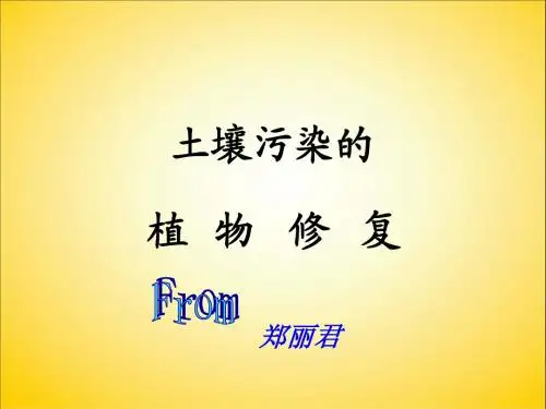 土壤污染的植物修复