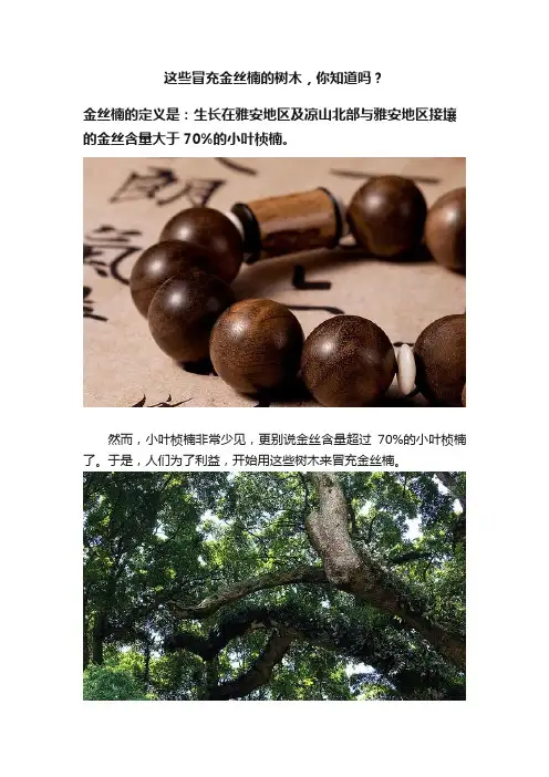 这些冒充金丝楠的树木，你知道吗？
