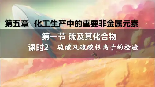 硫酸及硫酸根离子的检验++课件+++2022-2023学年高一下学期化学人教版(2019)必修第二册