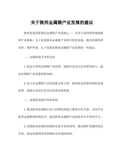 关于陕西金属镁产业发展的建议