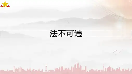 法不可违ppt课件