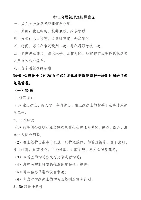 护士分层管理及指导意见