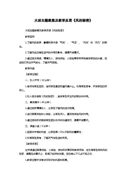 大班主题教案及教学反思《风的秘密》