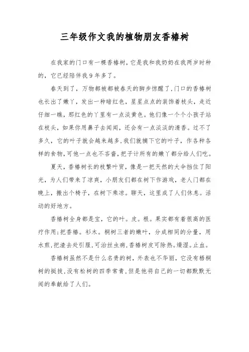 三年级作文我的植物朋友香椿树