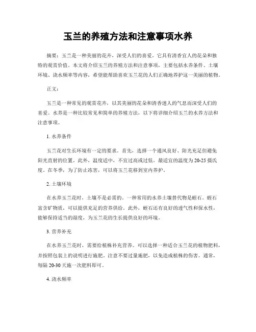 玉兰的养殖方法和注意事项水养